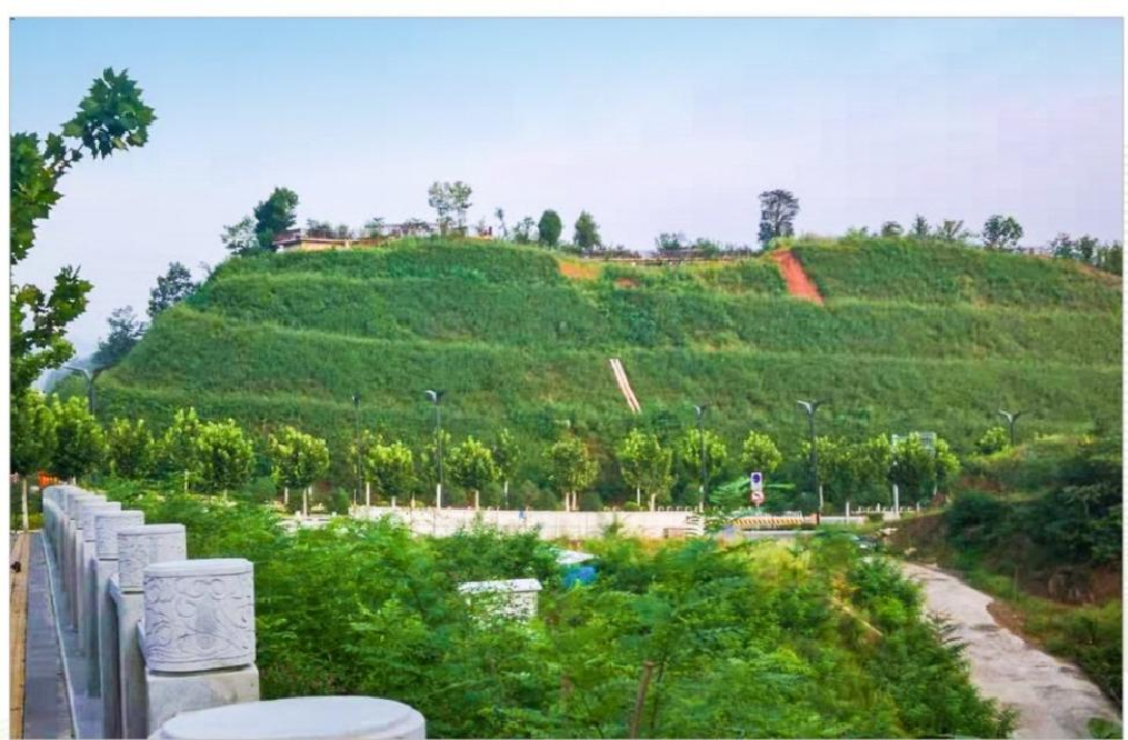 栾川城市高陡边坡复绿工程